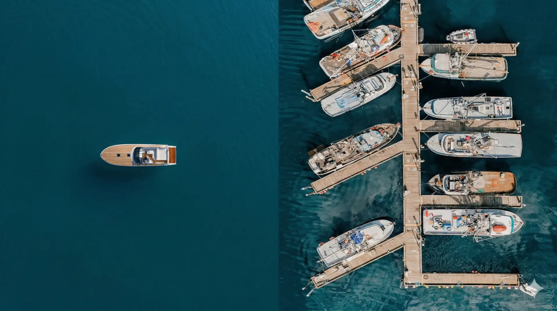 Ego-sistemas vs Eco-sistemas