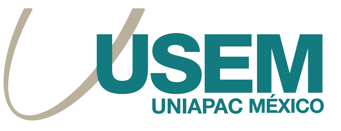 USEM LOGO